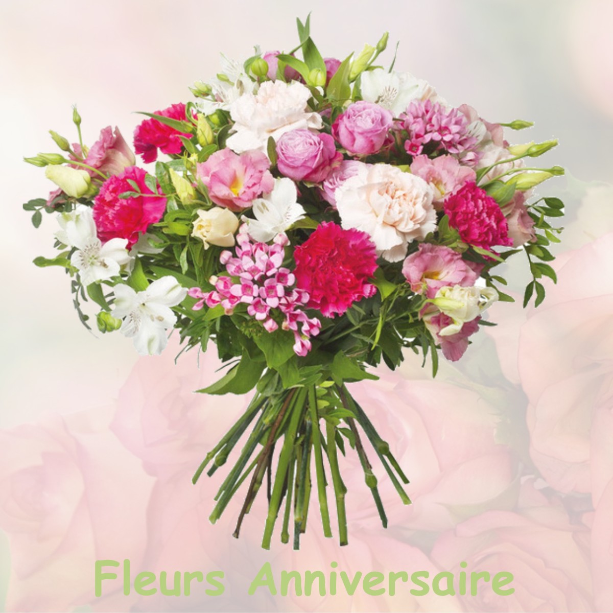 fleurs anniversaire LAGUINGE-RESTOUE